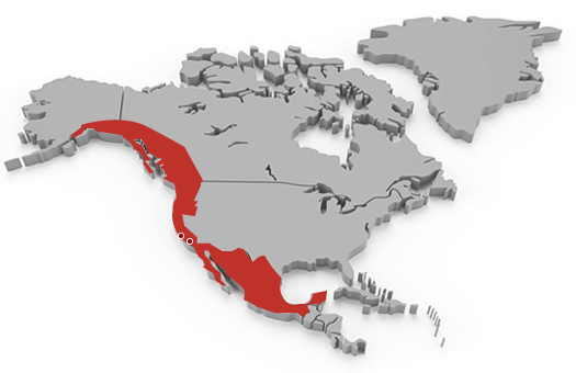 Map of Location and Distribution area